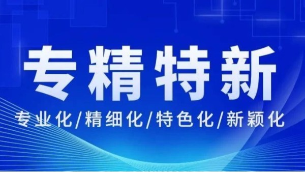 恭喜！凌宇再次通過(guò)此項(xiàng)省級(jí)榮譽(yù)的復(fù)核！