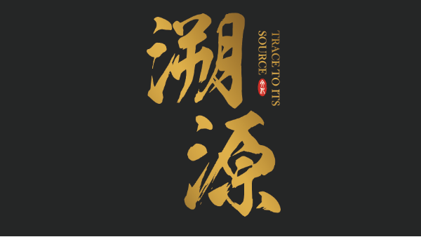 以匠心致初心——央視《品牌溯源》欄目走進(jìn)中山凌宇！